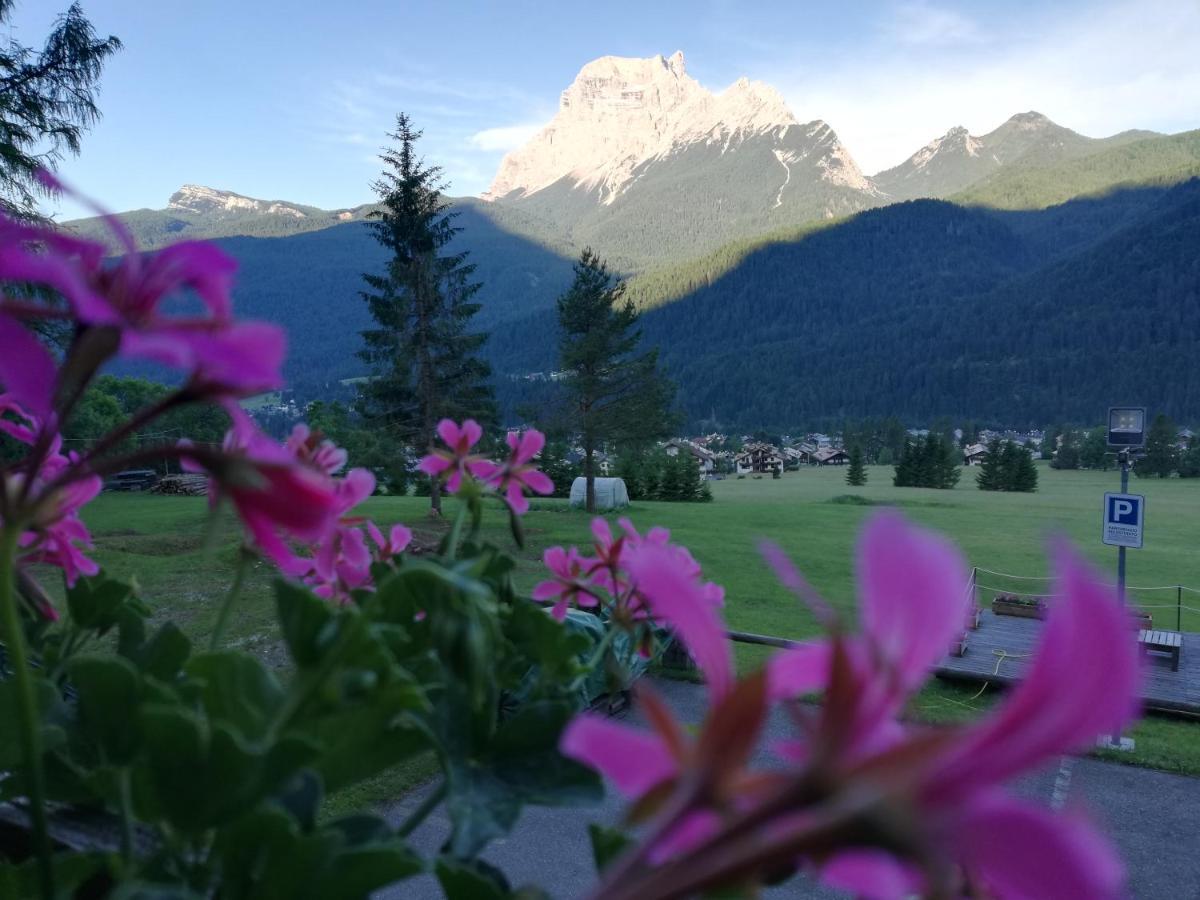 Hotel Il Cardo San Vito di Cadore Exterior foto